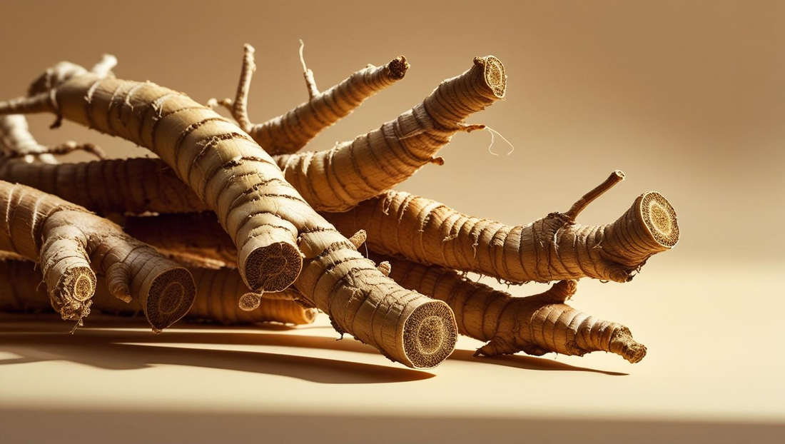 Panax Ginseng: an Asian “all-healing” root
