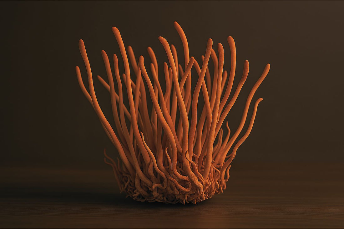 Cordyceps: the energy booster
